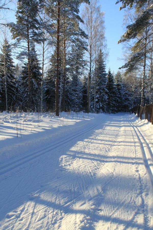 Вилла Pankkotupa 16-B Пункахарью Экстерьер фото