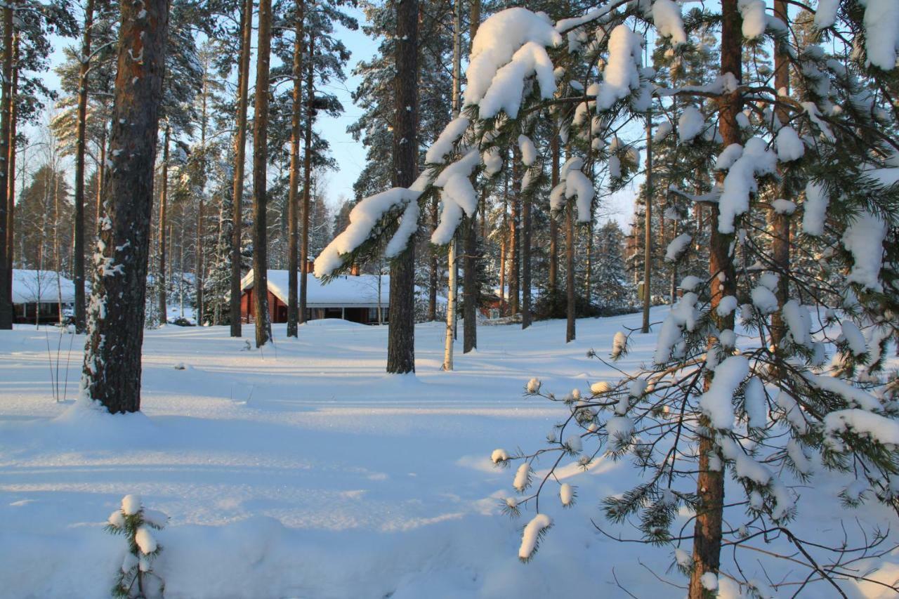 Вилла Pankkotupa 16-B Пункахарью Экстерьер фото